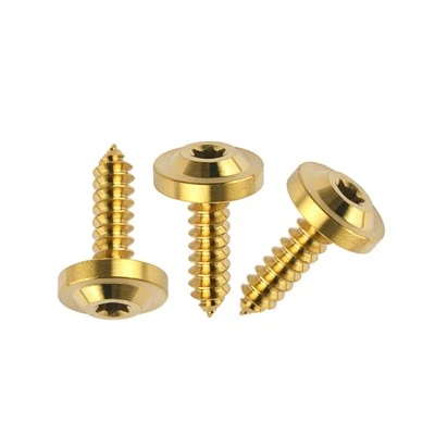 Titanium Self-Tapping Screw